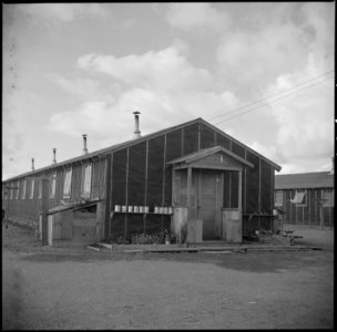 Tule Lake Relocation Center, Newell, California. A view showing the way in which the evacuees decor . . . - NARA - 536362