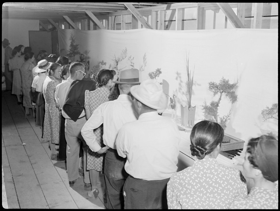 Tule Lake Relocation Center, Newell, California. Admiring lines of evacuees filed through a recreat . . . - NARA - 538391