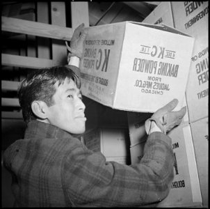 Tule Lake Relocation Center, Newell, California. Alex Mayeda, Warehouseman. - NARA - 536690 photo