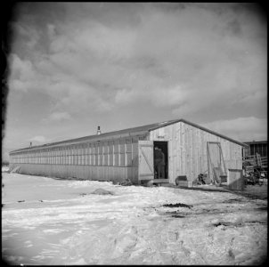 Tule Lake Relocation Center, Newell, California. An exterior view of one of the buildings which ho . . . - NARA - 536750