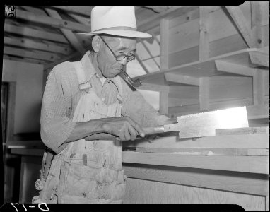 Tule Lake Relocation Center, Newell, California. Cabinet worker's saw is expertly used by Jime Kaba . . . - NARA - 538216