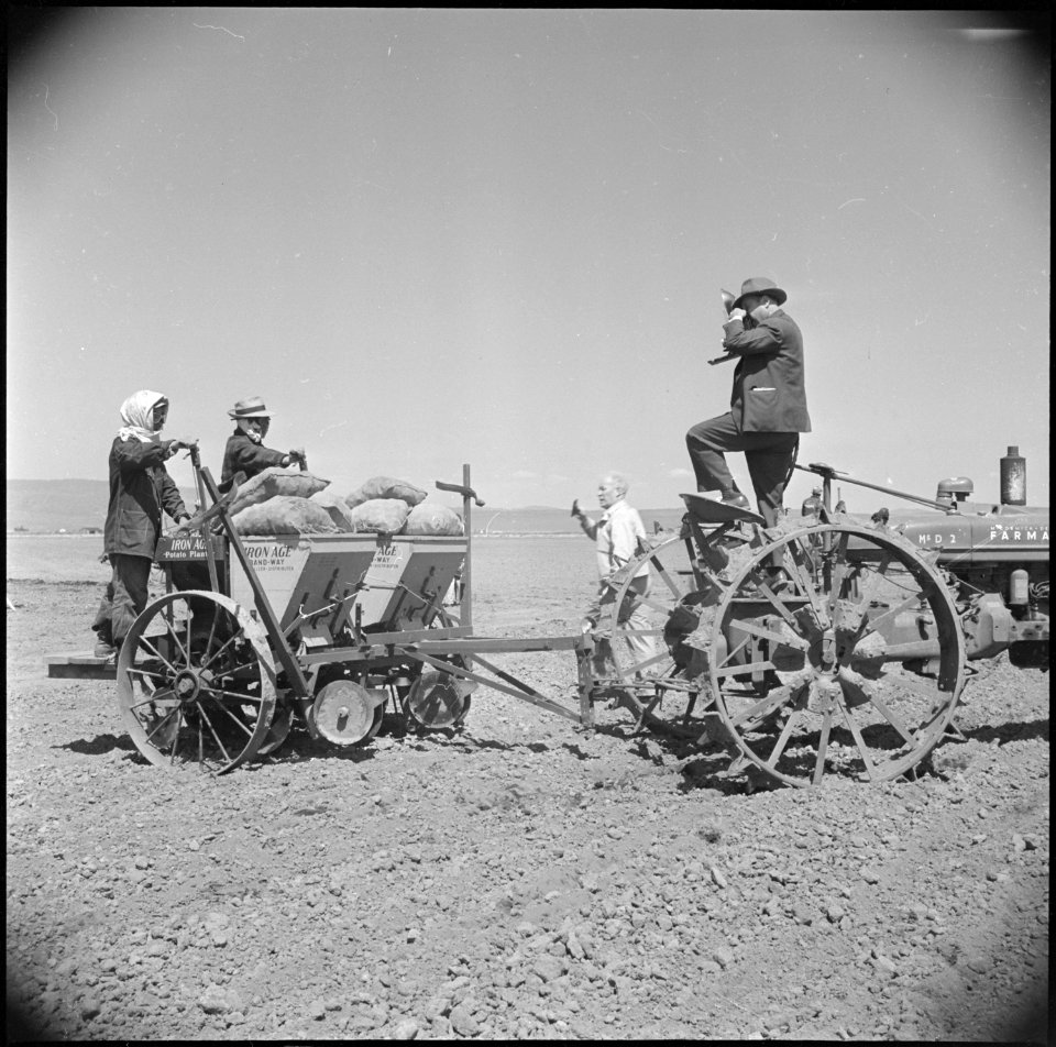 Tule Lake Relocation Center, Newell, California. Cameramen from the San Francisco newspaper photogr . . . - NARA - 537145