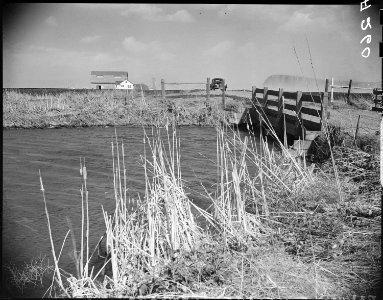 Tule Lake Relocation Center, Newell, California. Drainage ditch near the War Relocation Authority c . . . - NARA - 536201