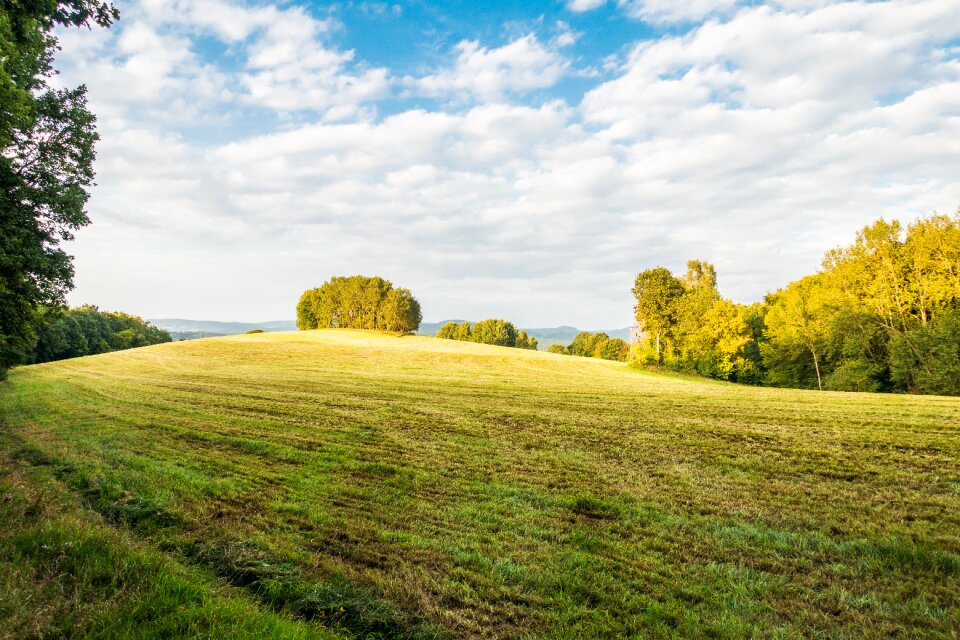 Grass spacious hill