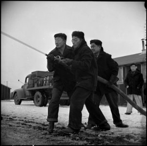 Tule Lake Relocation Center, Newell, California. Evacuee members of the fire department brave the . . . - NARA - 536739