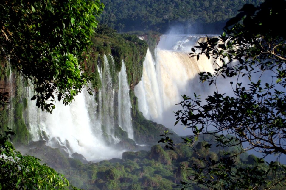 Travel iguazu brazilwood
