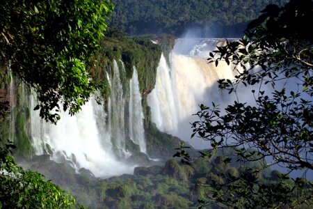Travel iguazu brazilwood