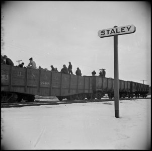 Tule Lake Relocation Center, Newell, California. Evacuee workers unload coal at Staley Junction, wh . . . - NARA - 536913