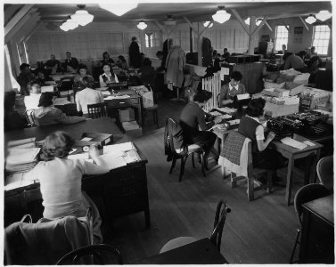 Tule Lake Relocation Center, Newell, California. Evacuee stenographers and clerks at work in Admini . . . - NARA - 536680