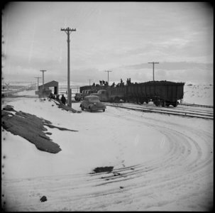 Tule Lake Relocation Center, Newell, California. Evacuee workers unload coal at Staley Junction, wh . . . - NARA - 536912