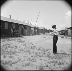 Tule Lake Relocation Center, Newell, California. Gertrude Michaelove, member of the West Coast OWI . . . - NARA - 537147