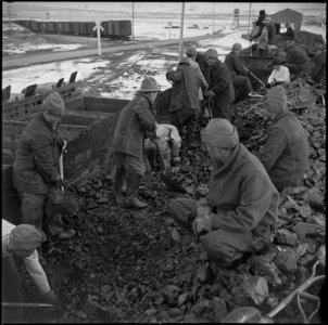 Tule Lake Relocation Center, Newell, California. Evacuee workers unload coal at Staley Junciton, wh . . . - NARA - 536914
