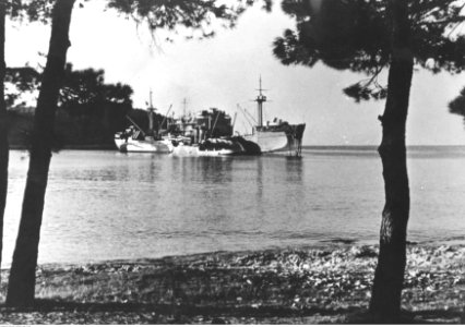 Transportowiec Kriegsmarine w u wybrzrży wyspy Lussino (2-530)