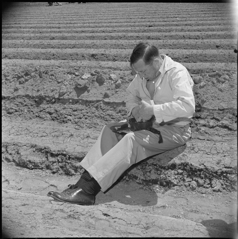 Tule Lake Relocation Center, Newell, California. Joe Rucker, newsreel cameraman for Paramont Pictur . . . - NARA - 537150