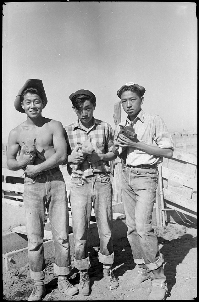Tule Lake Relocation Center, Newell, California. Hog farm employees. - NARA - 539434