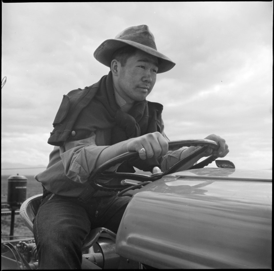 Tule Lake Relocation Center, Newell, California. Jimmy Inahara, 24, farmer-evacuee from Stockton, C . . . - NARA - 538253