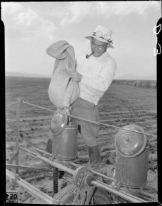 Tule Lake Relocation Center, Newell, California. John Matsumoto, 28, former tenant farmer from Stat . . . - NARA - 538202