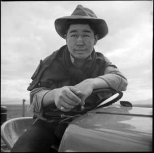 Tule Lake Relocation Center, Newell, California. Jimmy Inahara, 24, farmer-evacuee from Stockton, C . . . - NARA - 538254 photo