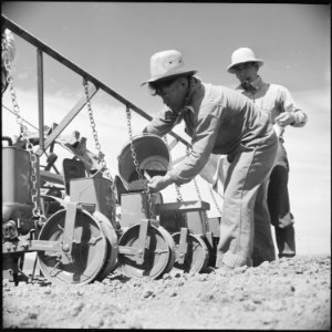 Tule Lake Relocation Center, Newell, California. K. Kubo, farmer-evacuee from Clarksburg, Californi . . . - NARA - 538200
