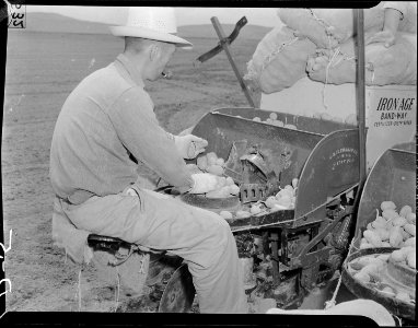 Tule Lake Relocation Center, Newell, California. K. Fukushima, 38, farmer-evacuee from Clarksburg, . . . - NARA - 538204
