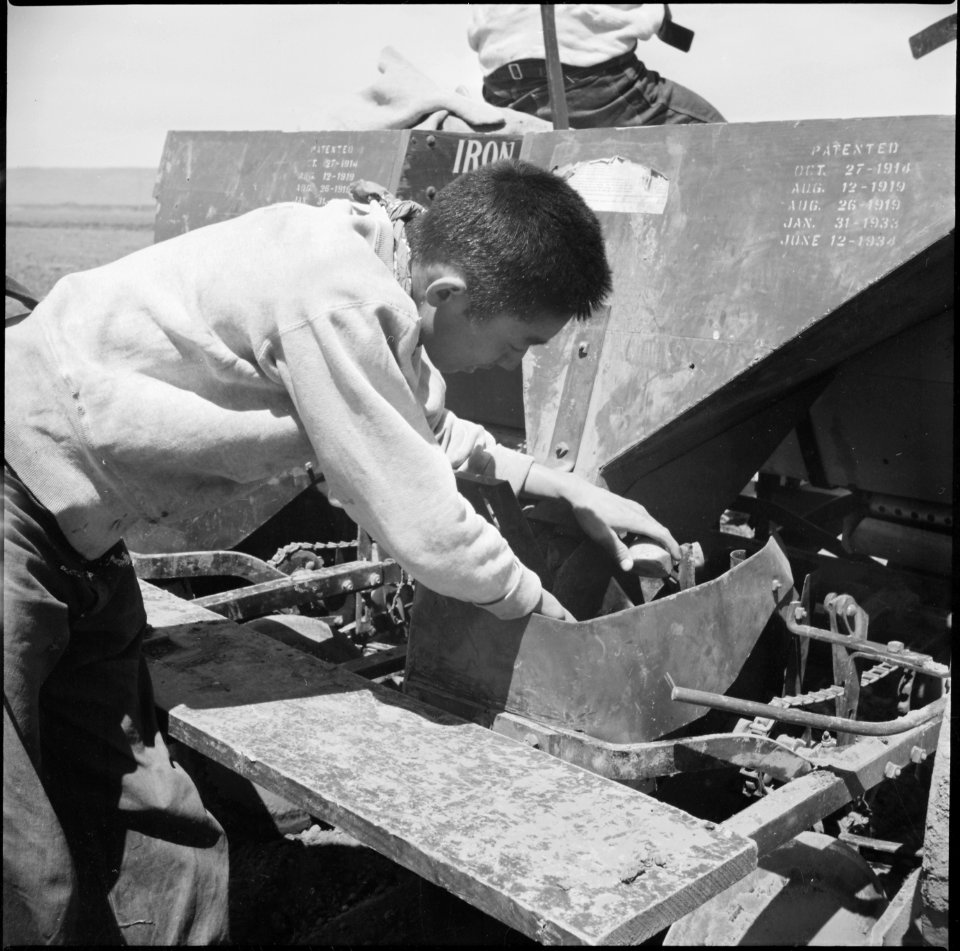 Tule Lake Relocation Center, Newell, California. Isaac Sakuma, 18, evacuee farmer from Mount Vernon . . . - NARA - 538264