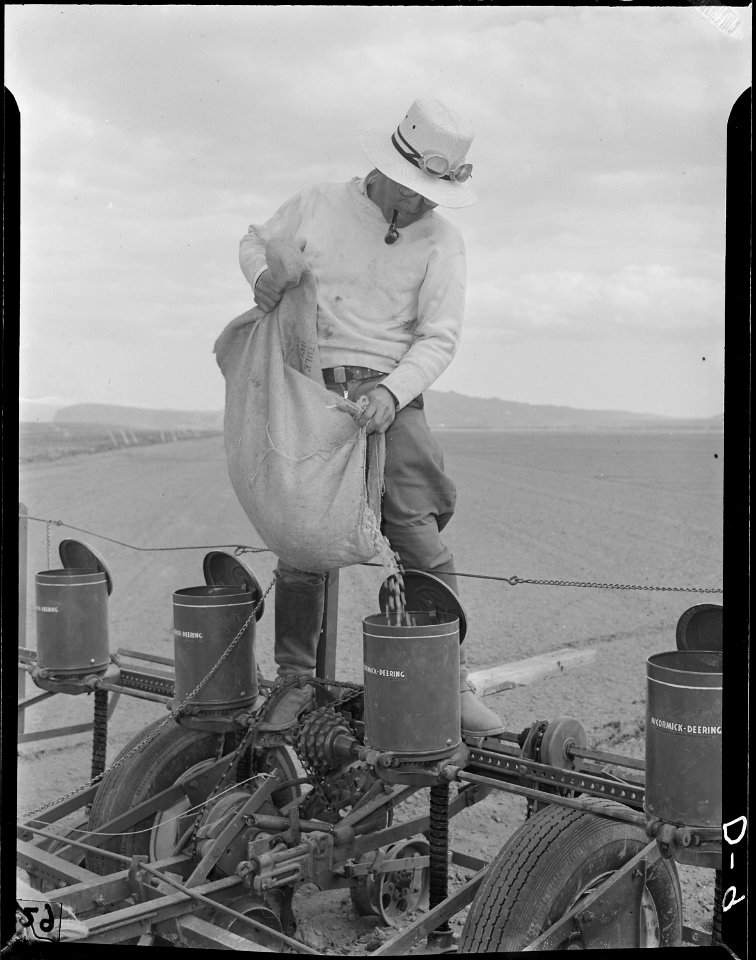 Tule Lake Relocation Center, Newell, California. John Matsumoto, 28, evacuee truck farmer putting s . . . - NARA - 538208