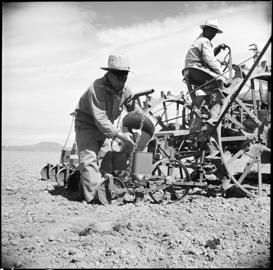 Tule Lake Relocation Center, Newell, California. K. Kubo, evacuee-farmer from Clarksburg, Californi . . . - NARA - 538238