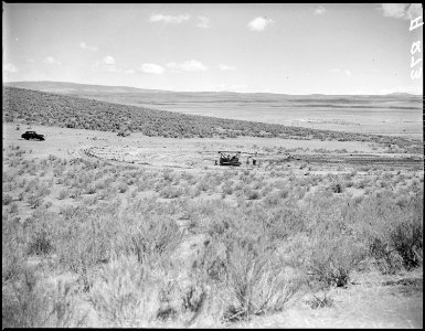 Tule Lake Relocation Center, Newell, California. Land is being cleared for the construction of barr . . . - NARA - 536214