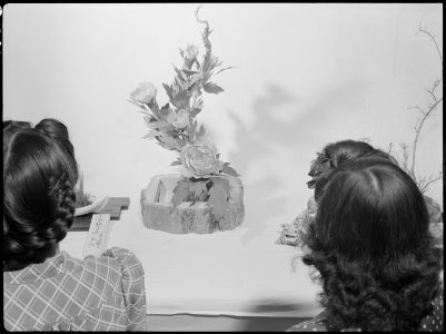 Tule Lake Relocation Center, Newell, California. Local evacuee artisans displayed their handiwork i . . . - NARA - 538395