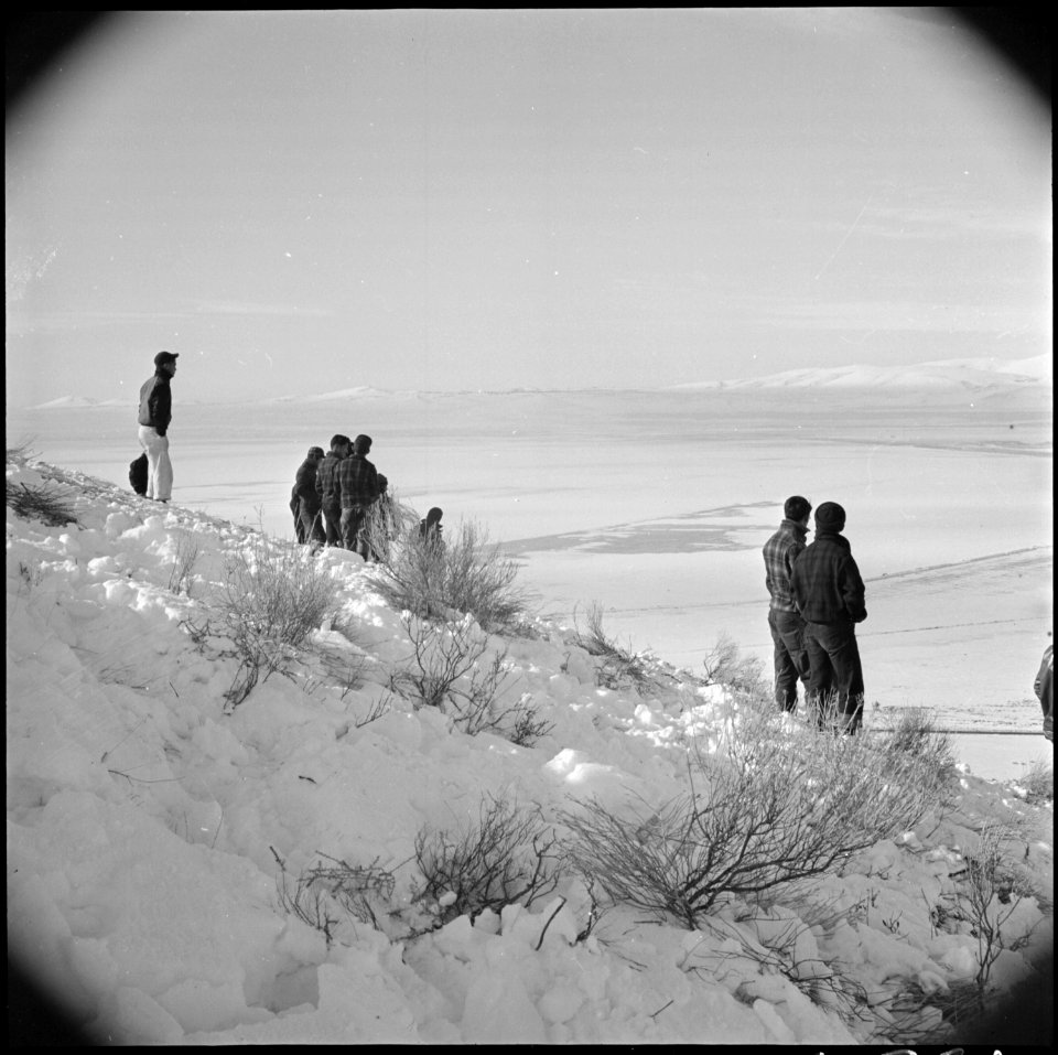 Tule Lake Relocation Center, Newell, California. A pleasant Sunday afternoon's recreation is spent . . . - NARA - 536738