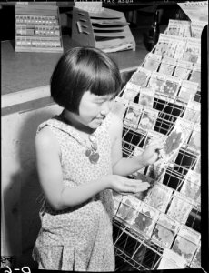 Tule Lake Relocation Center, Newell, California. Nancy Motomatsu, 11, chooses a package of Petunia . . . - NARA - 538205