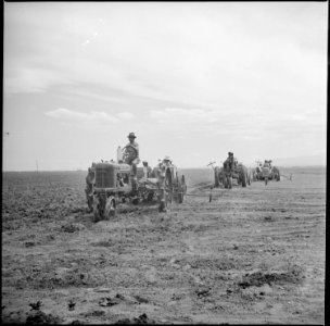 Tule Lake Relocation Center, Newell, California. Planting time at the Tule Lake Relocation Center. - NARA - 538263