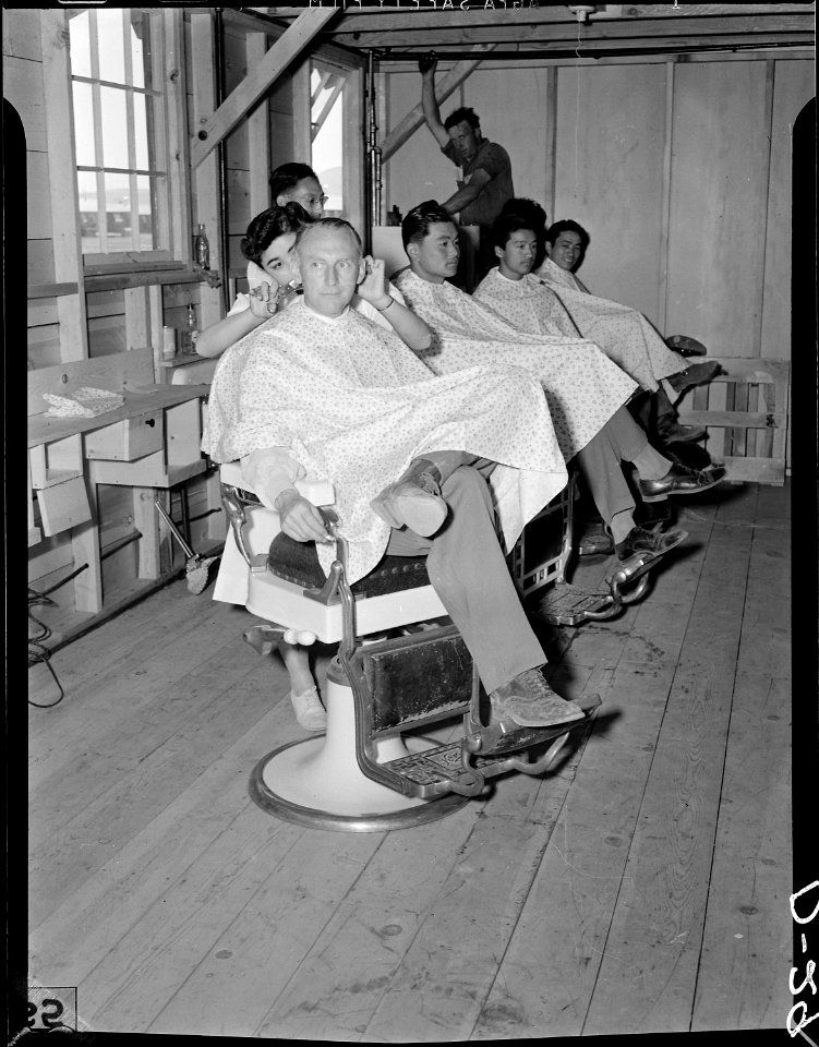 Tule Lake Relocation Center, Newell, California. Motimer Cooke, Supervisor of Community Enterprises . . . - NARA - 538228