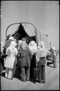 Tule Lake Relocation Center, Newell, California. Project farm women are driven to farm messhall for . . . - NARA - 539428