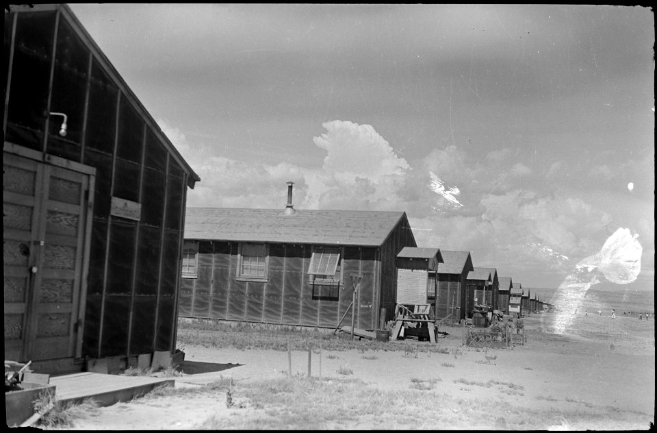Tule Lake Relocation Center, Newell, California. Project scene. - NARA - 539436