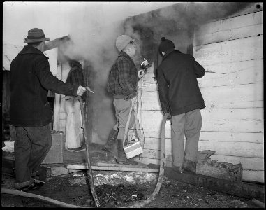 Tule Lake Relocation Center, Newell, California. Quick work, by the evacuee fire department, kept t . . . - NARA - 536958