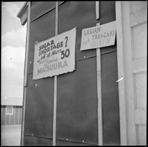 Tule Lake Relocation Center, Newell, California. Signs tacked on barracks advertising the labor day . . . - NARA - 538393