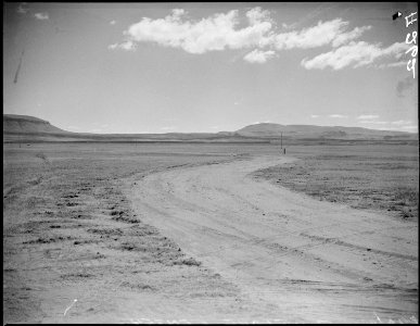 Tule Lake Relocation Center, Newell, California. Site on which a War Relocation Authority center is . . . - NARA - 536203