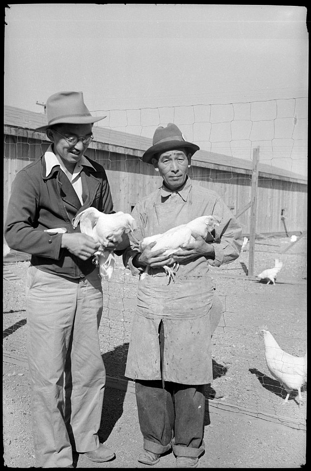 Tule Lake Relocation Center, Newell, California. Supervisor of the chicken farm. - NARA - 539433