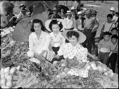 Tule Lake Relocation Center, Newell, California. The prize winning float in the labor day parade wa . . . - NARA - 538405