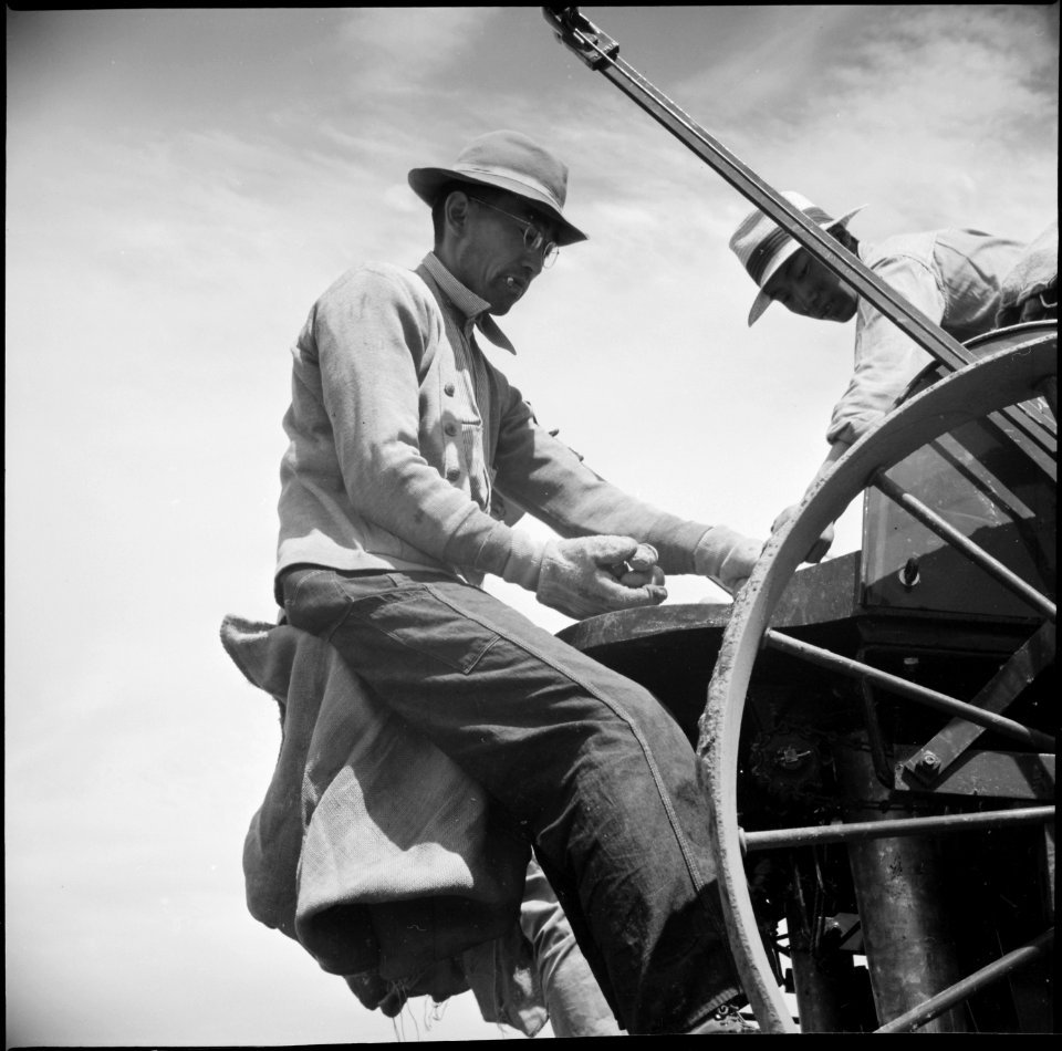 Tule Lake Relocation Center, Newell, California. This picture shows the method used by the evacuee- . . . - NARA - 538262