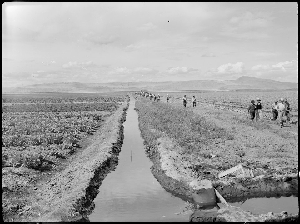 Tule Lake Relocation Center, Newell, California. This view shows an irrigation ditch which supplies . . . - NARA - 538388