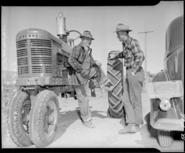 Tule Lake Relocation Center, Newell, California. Douglas Puckett and George M. Smith, Tule Lake farmers. - NARA - 536813 photo
