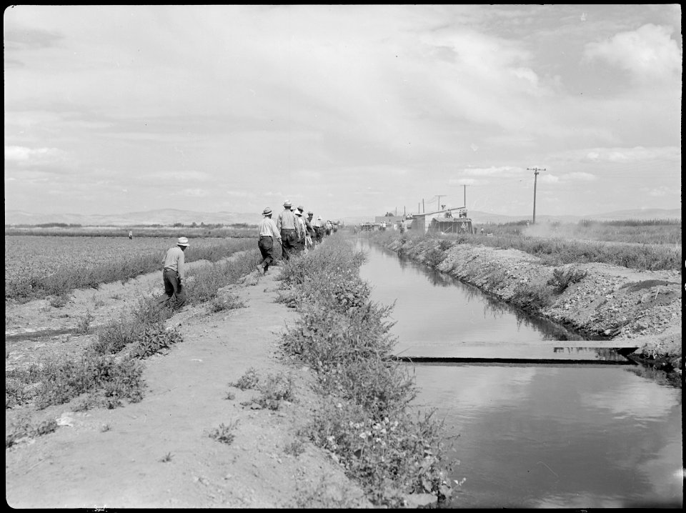 Tule Lake Relocation Center, Newell, California. This view shows an irrigation ditch which supplies . . . - NARA - 538378