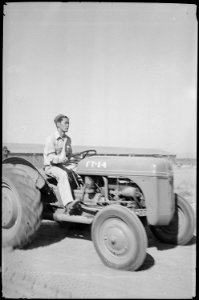 Tule Lake Relocation Center, Newell, California. Tractor and driver. - NARA - 539431