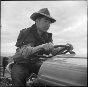 Tule Lake Relocation Center, Newell, California. Jimmy Inahara, 24, farmer-evacuee from Stockton, C . . . - NARA - 538253 photo