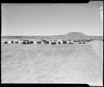 Tule Lake Relocation Center, Newell, California. Work commences on the construction of barrack home . . . - NARA - 536206