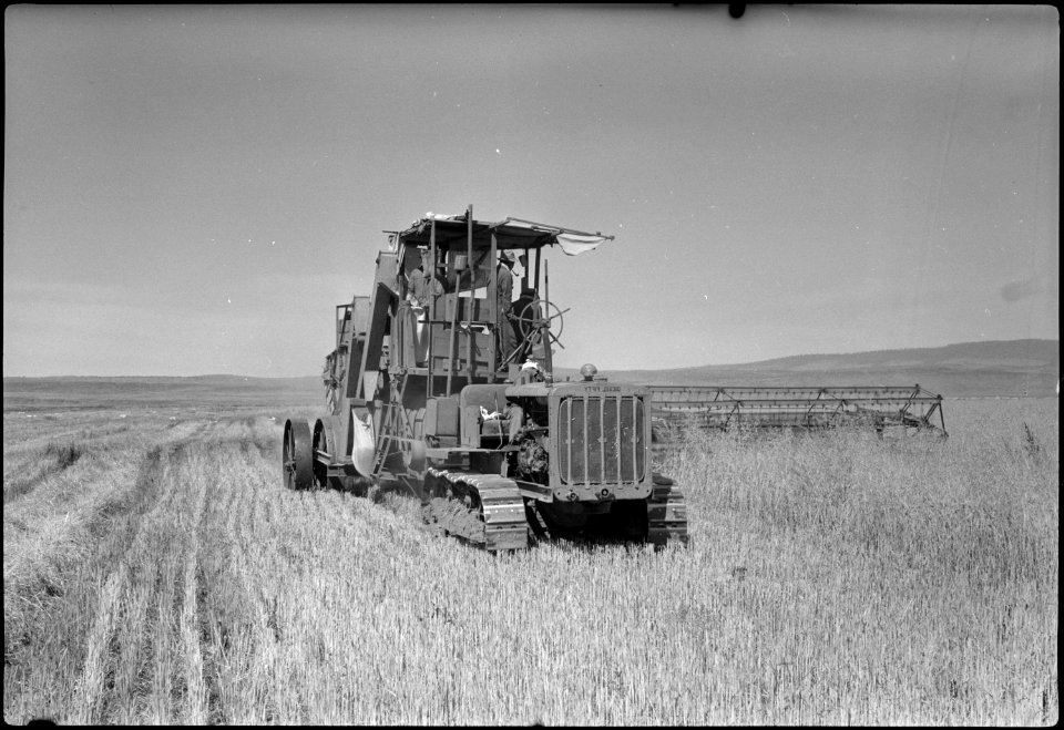 Tule Lake Segregation Center, Newell, California. A Holt Harvester threshing barley at the Tule Lak . . . - NARA - 539582