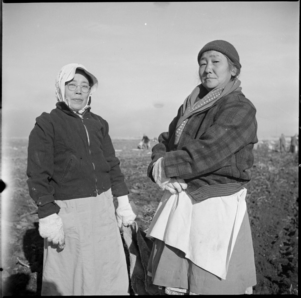Tule Lake Relocation Center, Newell, California. Two women of Japanese ancestry pause from their po . . . - NARA - 536479