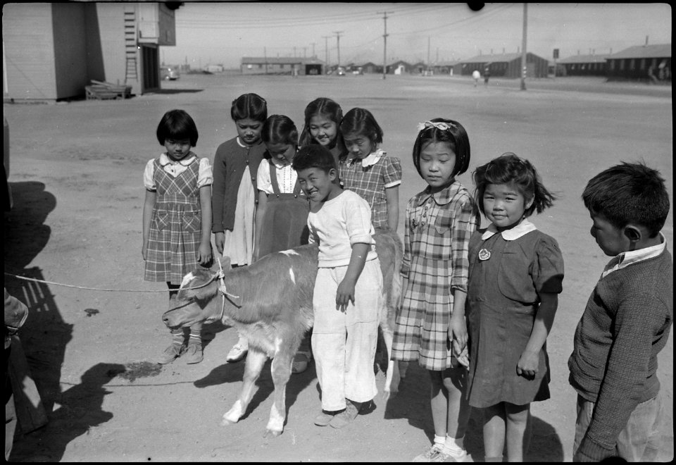 Tule Lake Segregation Center, Newell, California. These elementary school children at the Tule Lake . . . - NARA - 539574